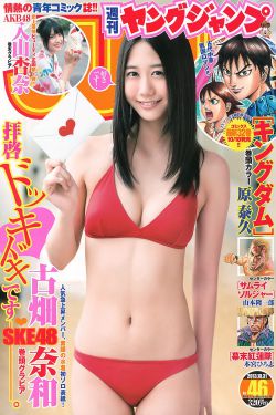 走打鬼子去